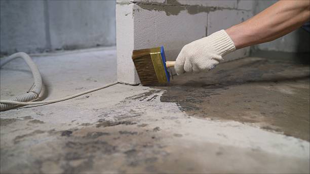 24/7 Emergency Crawl Space Encapsulation experts in Woodlawn, TN